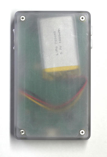 A back view of a fully assembled Tangara